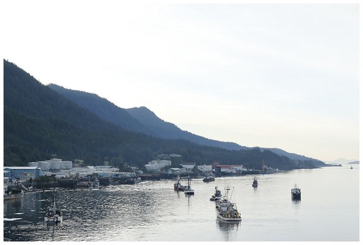 Ketchikan, fishing boats waiting to unload their salmon at the canneries