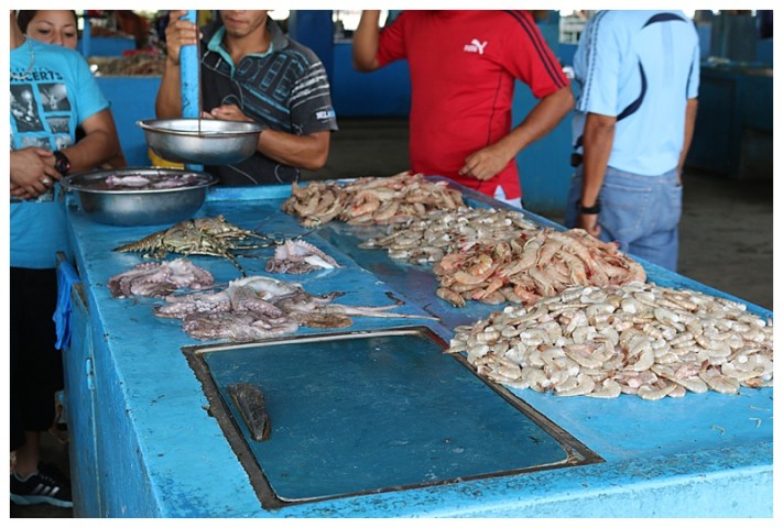 Fish market, fresh shellfish