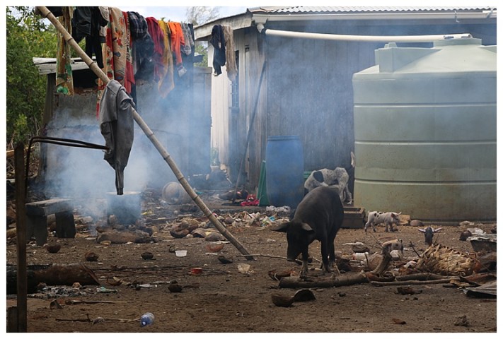 A house yard; water collector, pigs and smoked laundry :-)