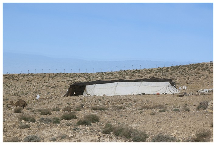 Bedouin tents dot the countryside