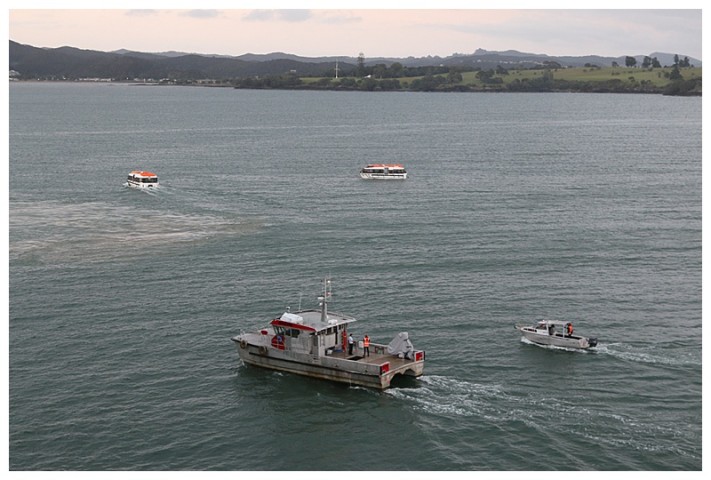 Pilot boat, Immigration boat and 2 of our tenders, waiting for 'clearance'