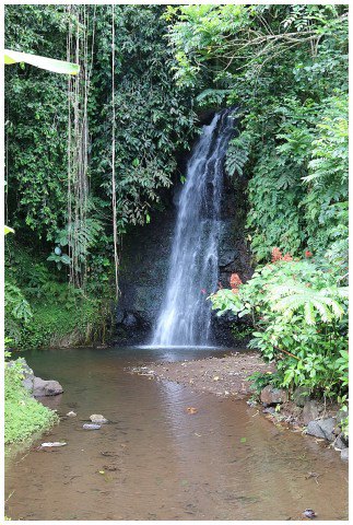 Lush tropical waterfalls
