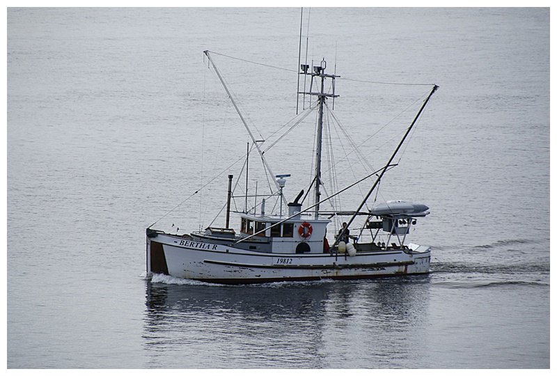 A passing fishing boat, this one trolls with long-lines; baited hooks and 'flashers' to attract the fish.