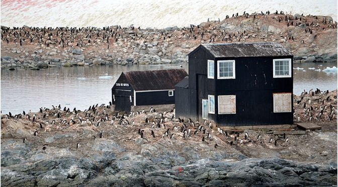 Antarctic Peninsula Day 2